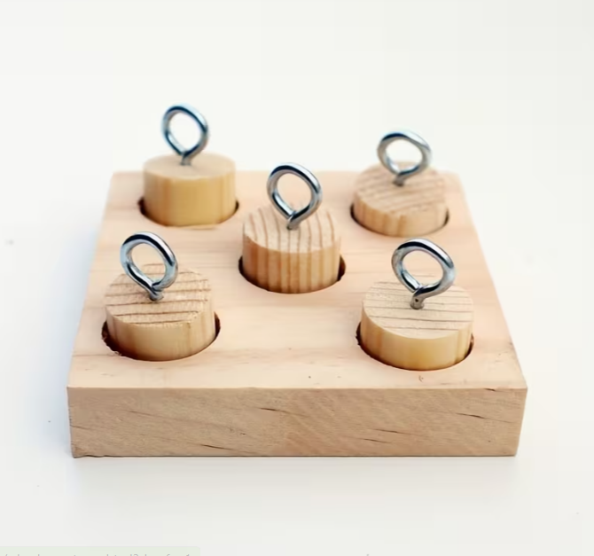 Bird & Parrot Training Toy