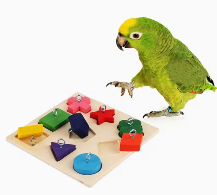 Wooden Blocks Training Toy